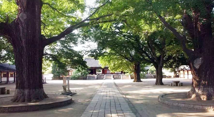 平壤、開(kāi)城、板門(mén)店雙臥三日游